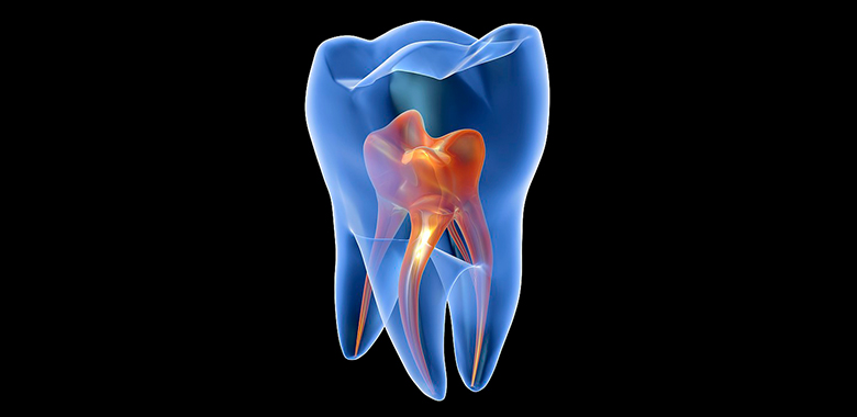 illustrazione 3D di un dente